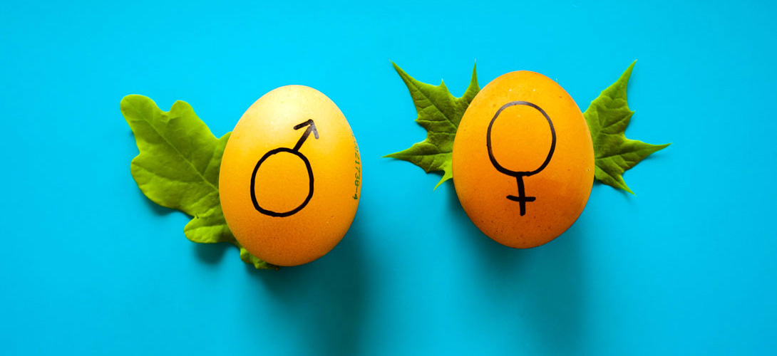 Two eggs with the male and female gender signs drawn with black marker.